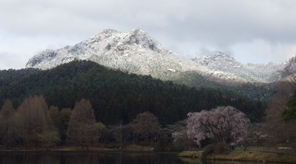 2015 04 09  桜 & 雪 (7)